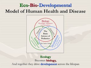 EcoBioDev-Model