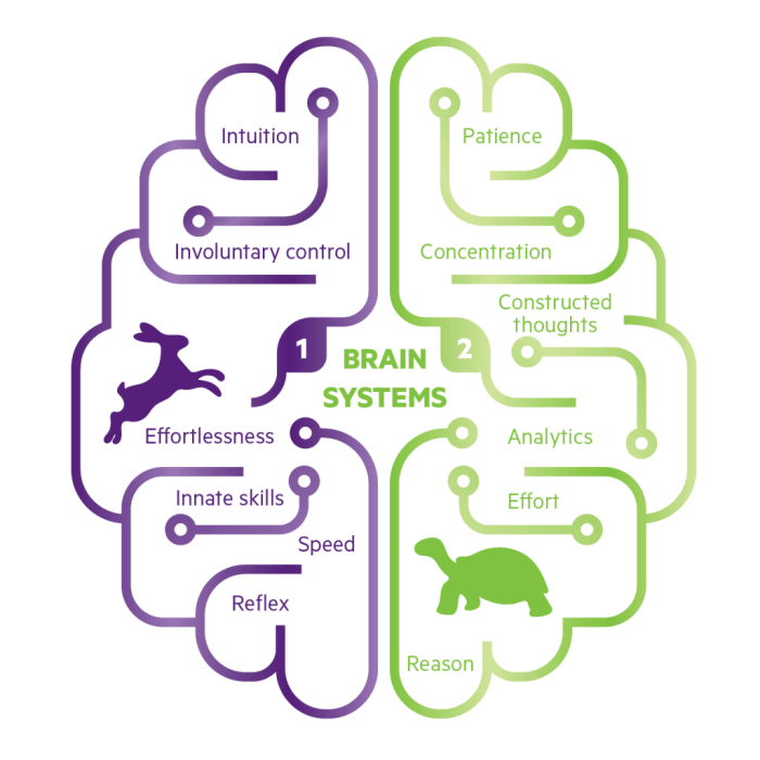 brain-systems-01-1024x1024