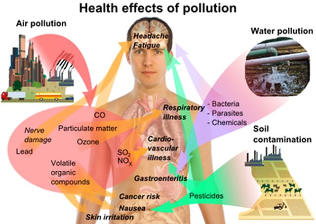 Health_effects_of_pollution