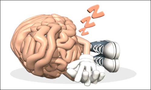 sleeping-brain