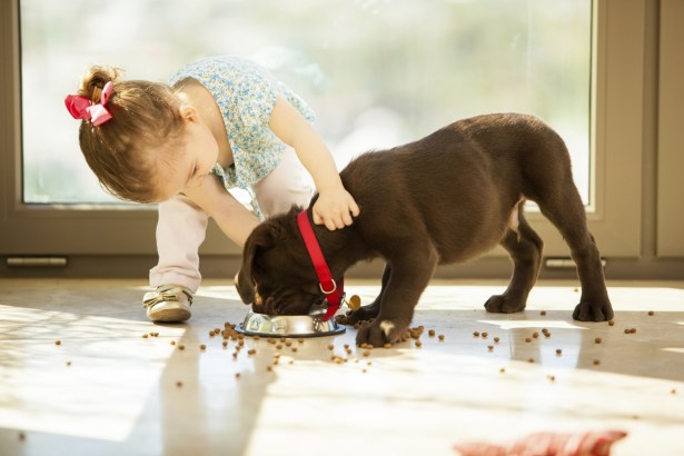 Little-girl-feeding-her-dog