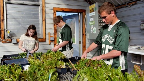 stw-mhs-casestudyhero-greenhouse_0