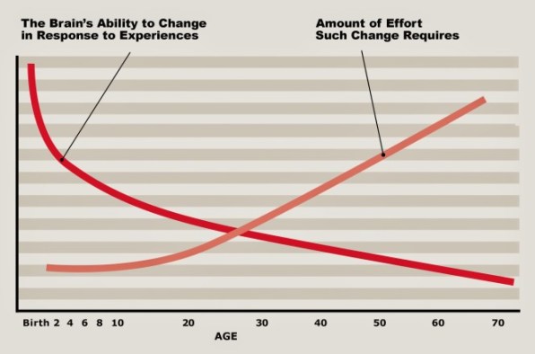 brain-malleability-e1436882837306