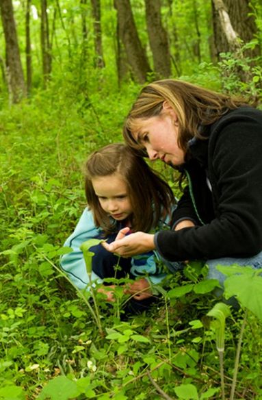 conectare-momdaughterjack