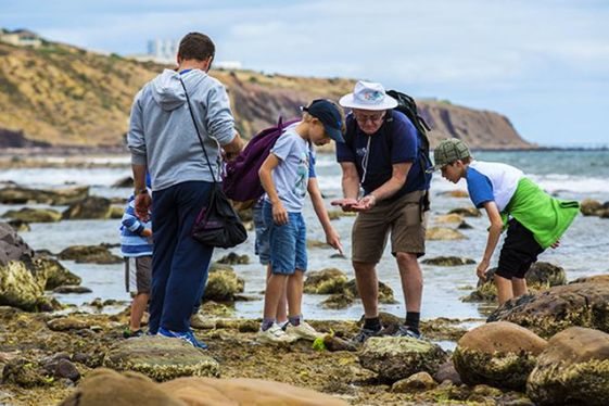 conectare-people-exploring-beach-bioblitz