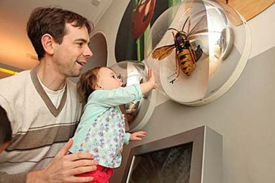 familly-museum_master