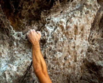 resilience-facebook-495x400