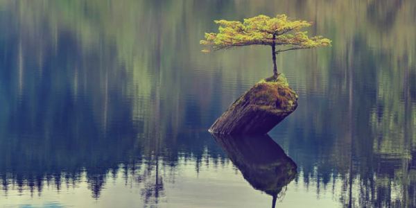 resilience-in-positive-psychology