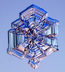 snowflake-1