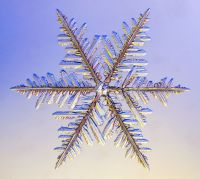snowflake-4