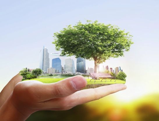 Sustainability main page photo