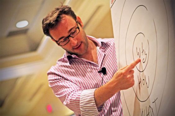 Atitudine-SINEK
