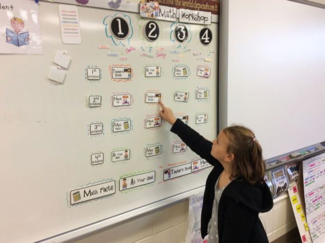 CE-FACE-PROFESORUL-11