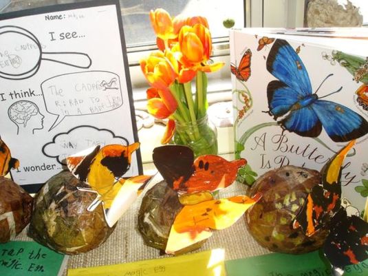 inquiry-based-education-6