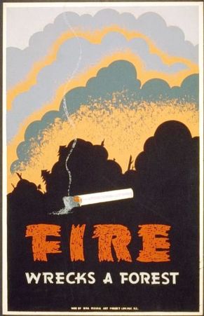 Idei-proiecte-scoala-4