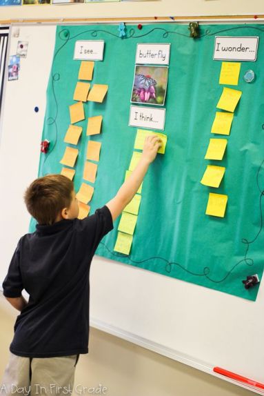 Callitati-cercetare-4