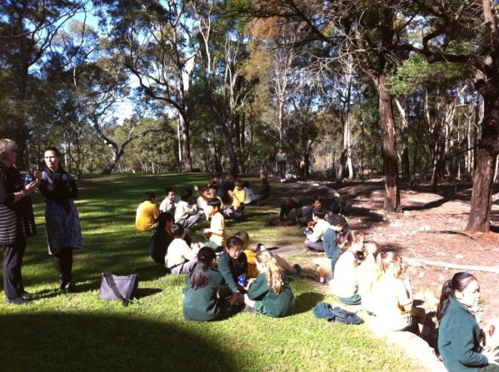 australia-scoala-altefel-5