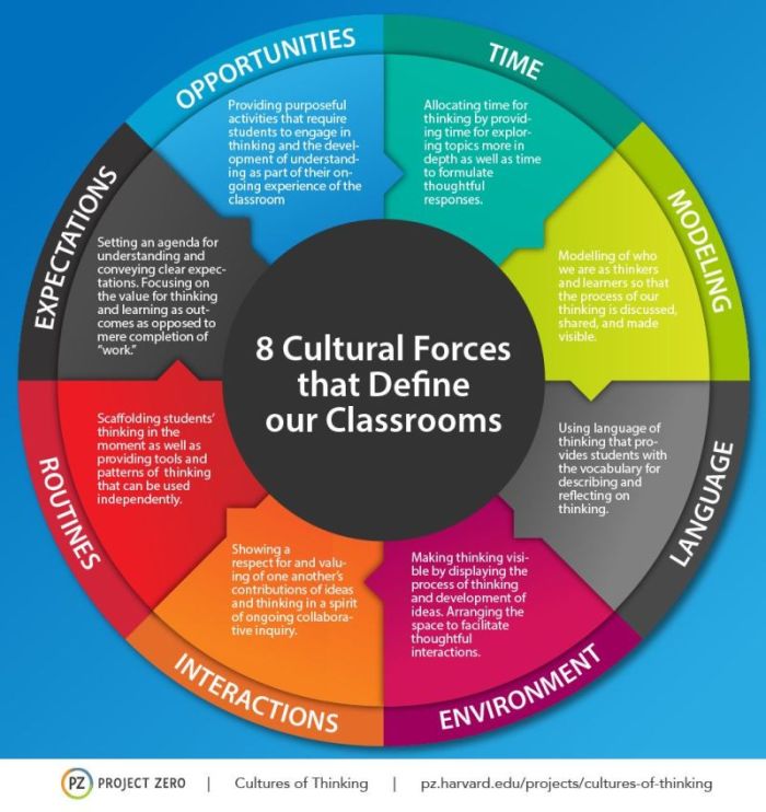 cultures-of-thinking-5