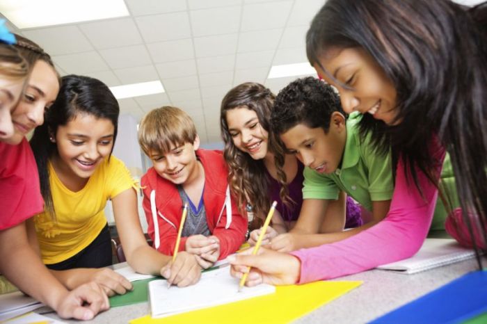 1-cum-PBL-elementare-8