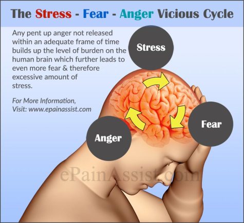 1-stress-fear-anger-vicious-cycle-1