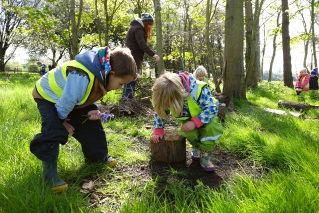 Forest-kindergarden-1