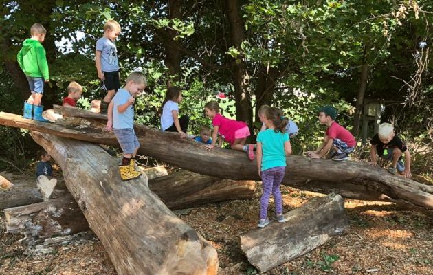 Forest-kindergarden-3