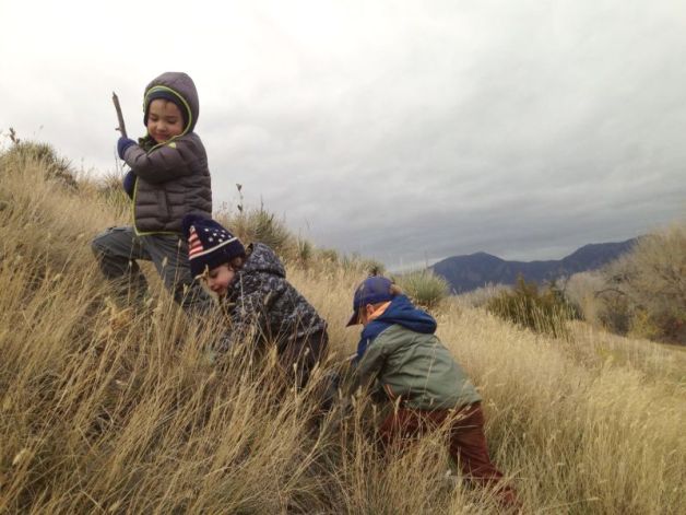 Forest-kindergarden-8