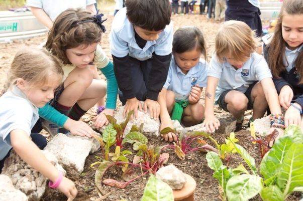 1-Cultivarea-hranei-3