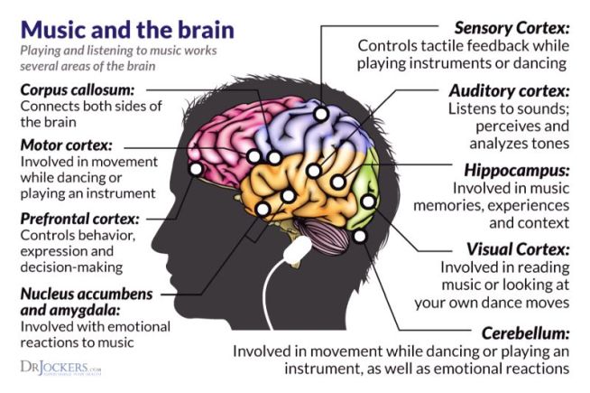 1-music-brain-1
