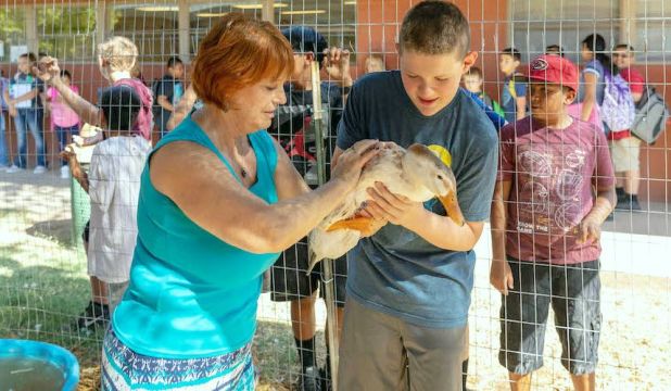 1-adu-lumina-talentul-6