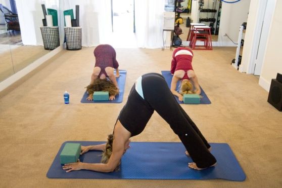 Integrare-SEL-online-1