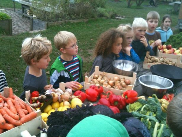 1-Educatia-in-natura-10