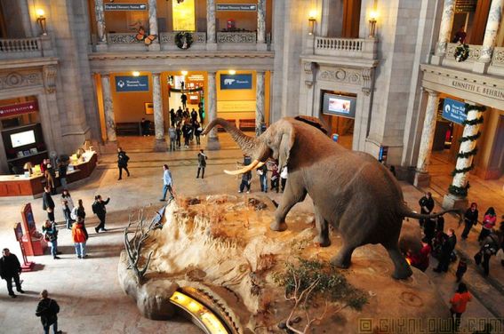 100-Activitati-vara-9